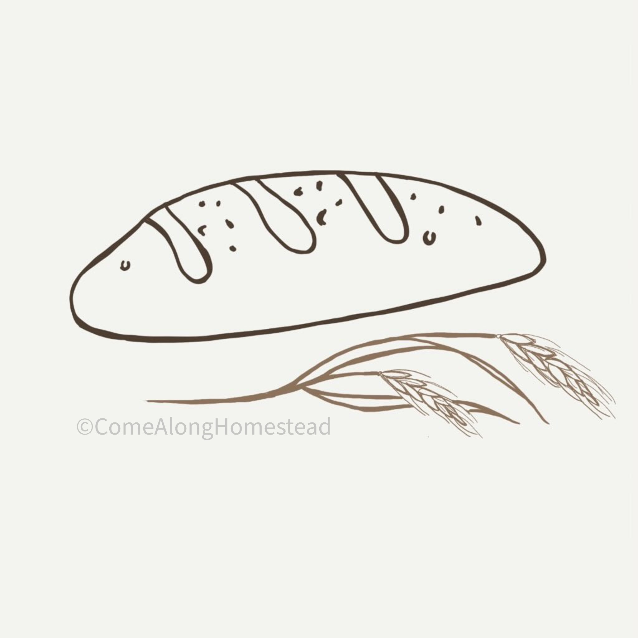 drawing of bread and wheat plant