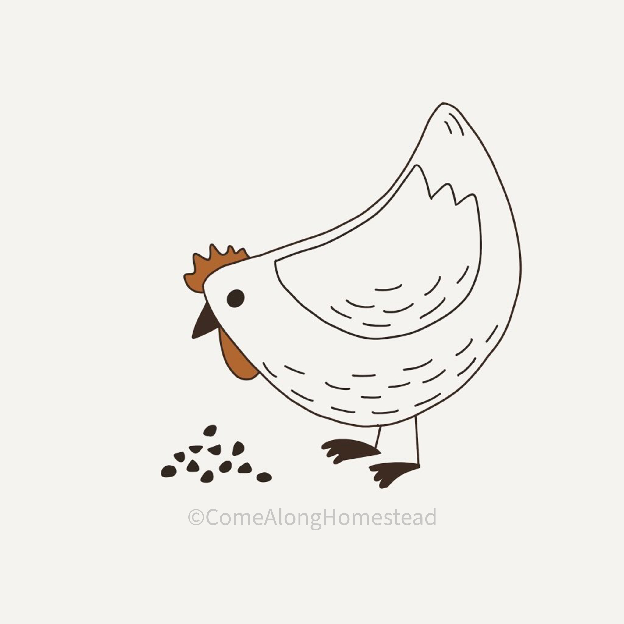 Drawing of chicken pecking at some feed on the ground