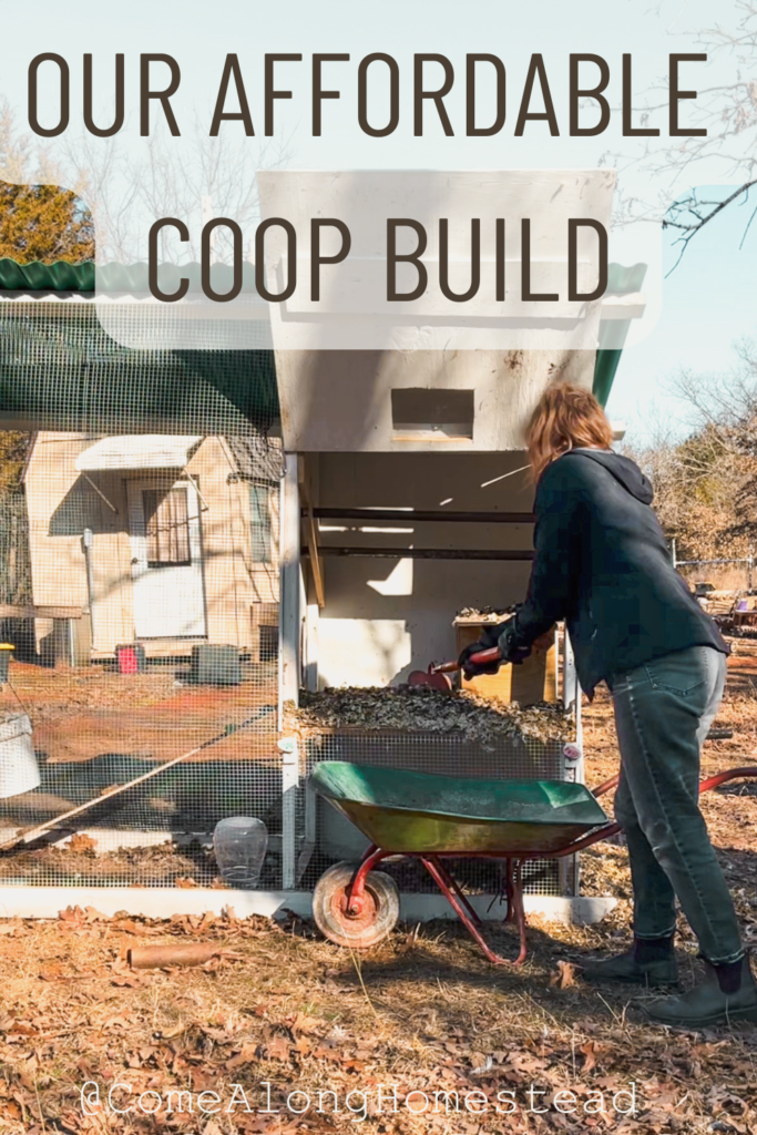woman cleaning out chicken coop with shovel and wheelbarrow