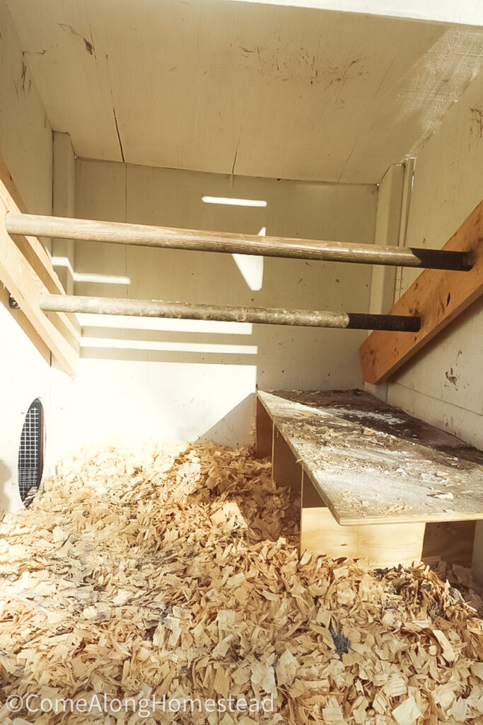 roosting bars inside chicken coop