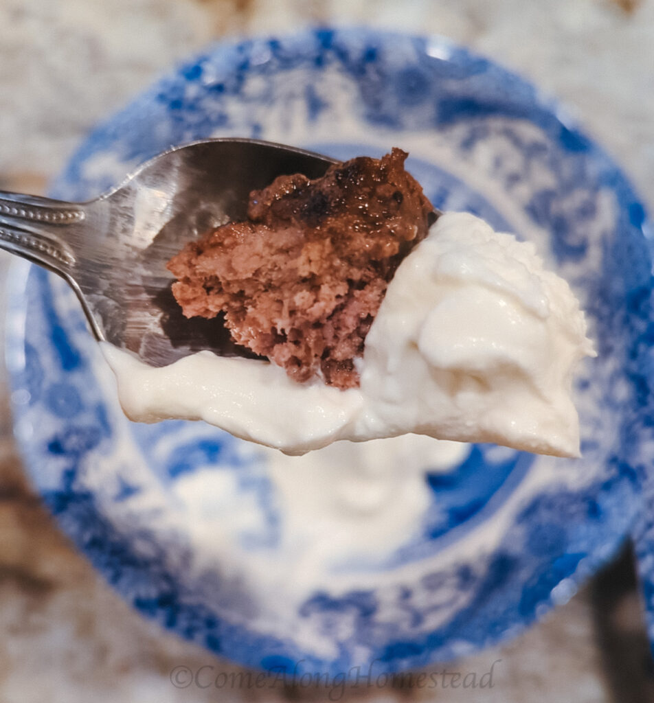 bite of meat and yogurt in a spoon