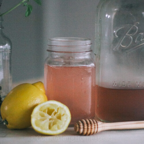 glass of pink lemonade with a cut up lemon and a honey dipper on the table in front of it.
