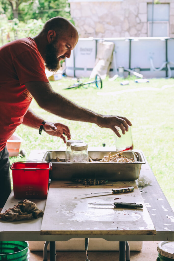 Man placing a jar of edible chicken organs into a container of ice to keep them fresh during processing.