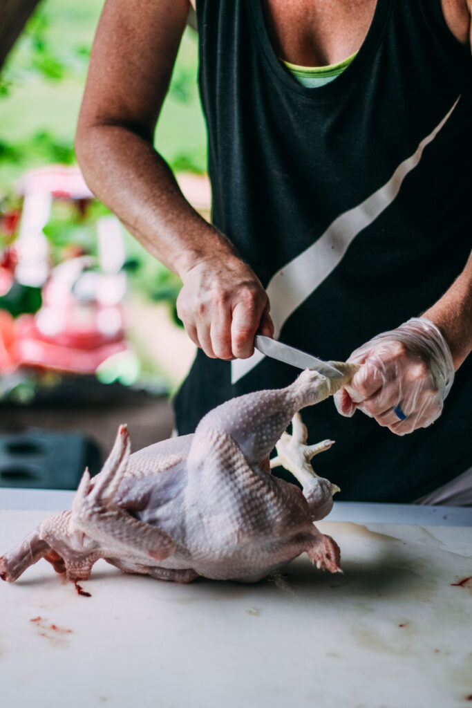 Close-up of cutting off the feet of a chicken during the butchering process.